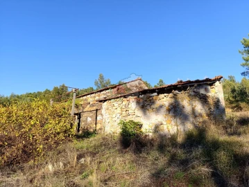 Quinta T0 para Venda em Oleiros-Amieira
