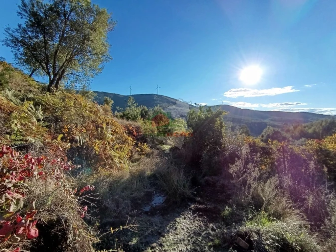 Quinta T0 para Venda em Oleiros-Amieira Foto 19