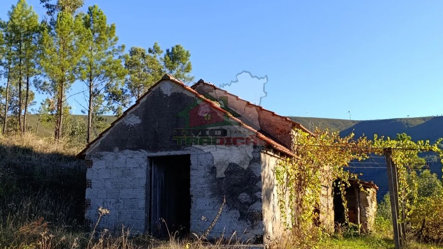 Quinta T0 para Venda em Oleiros-Amieira