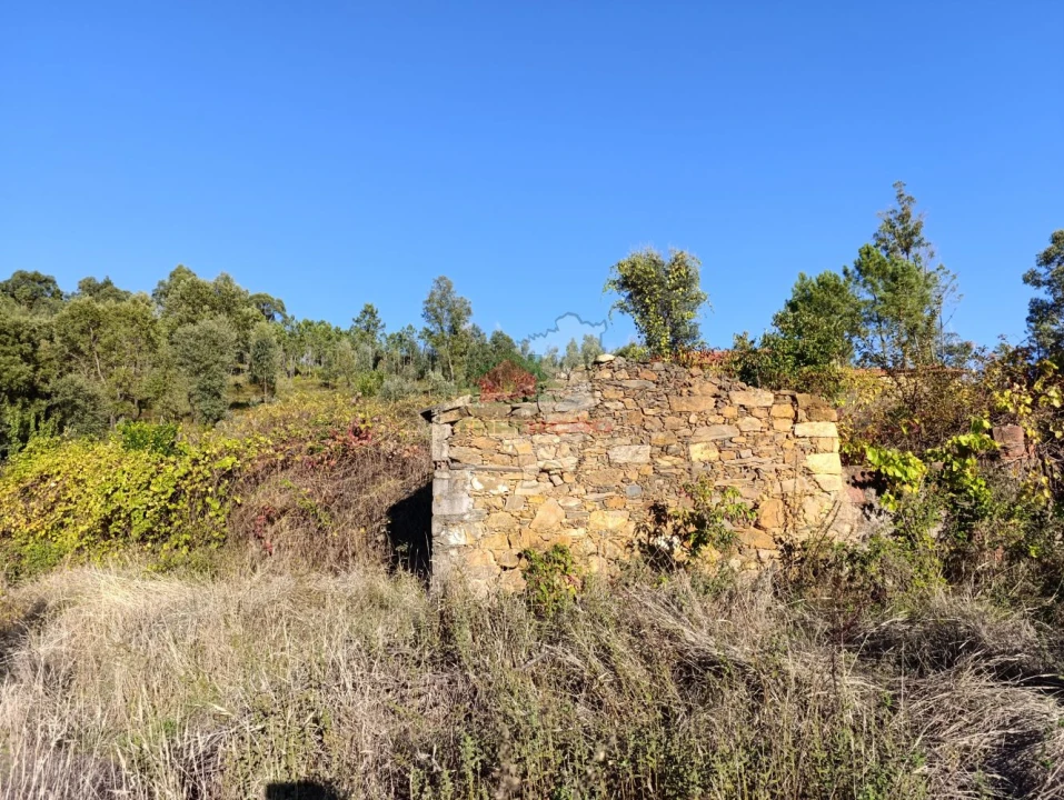 Quinta T0 para Venda em Oleiros-Amieira Foto 32