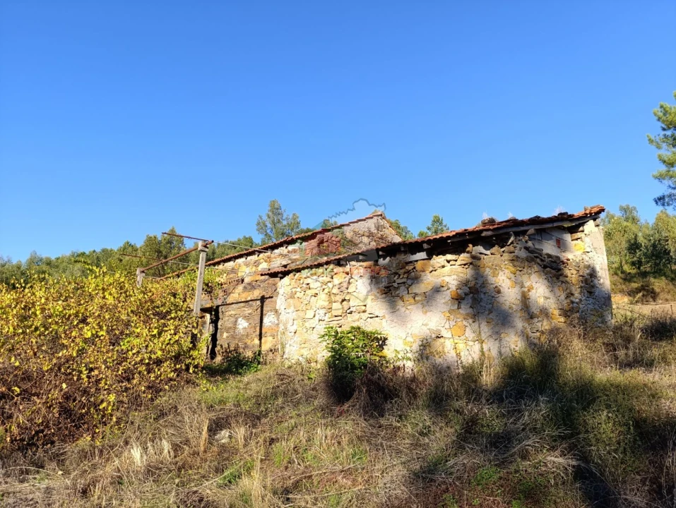 Quinta T0 para Venda em Oleiros-Amieira Foto 14
