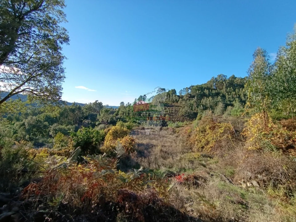 Quinta T0 para Venda em Oleiros-Amieira Foto 16