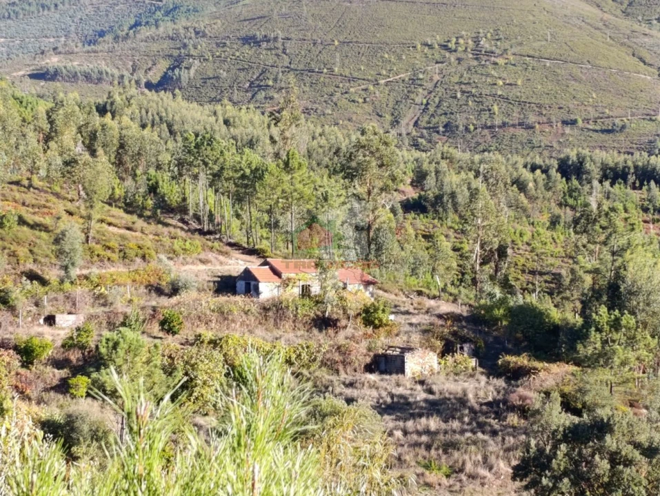 Quinta T0 para Venda em Oleiros-Amieira Foto 2