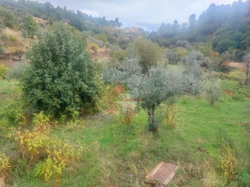 Moradia T2 para Venda em Sobreira Formosa e Alvito da Beira