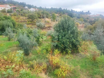 Moradia T2 para Venda em Sobreira Formosa e Alvito da Beira