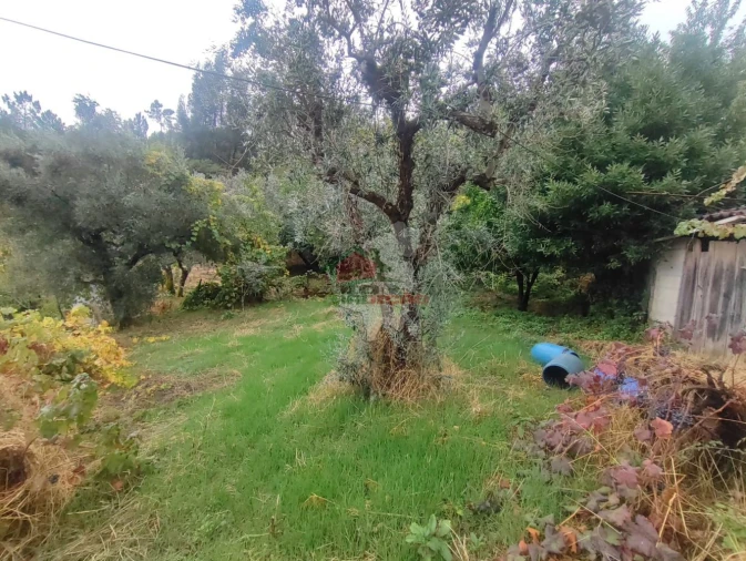 Moradia T2 para Venda em Sobreira Formosa e Alvito da Beira Foto 16