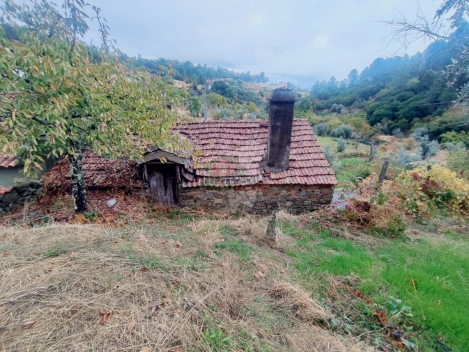 Moradia T2 para Venda em Sobreira Formosa e Alvito da Beira Foto 17