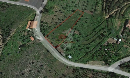 Terreno para Venda em Cernache do Bonjardim, Nesperal e Palhais