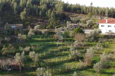 Terreno para Venda em Cernache do Bonjardim, Nesperal e Palhais