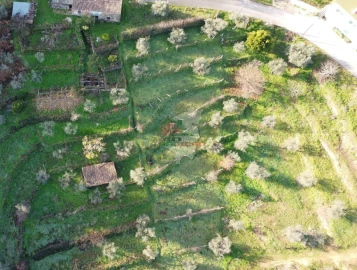 Terreno para Venda em Cernache do Bonjardim, Nesperal e Palhais