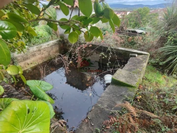 Quinta T3 para Venda em Pedrogão Grande