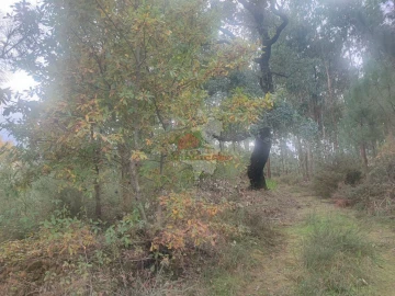 Quinta T3 para Venda em Pedrogão Grande