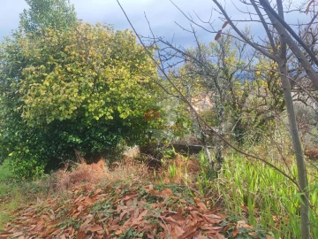 Quinta T3 para Venda em Pedrogão Grande