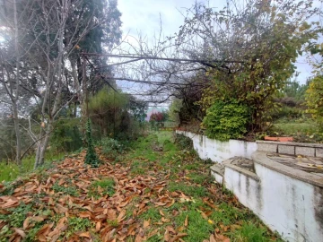 Quinta T3 para Venda em Pedrogão Grande