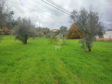 Quinta T3 para Venda em Pedrogão Grande