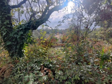 Quinta T3 para Venda em Pedrogão Grande