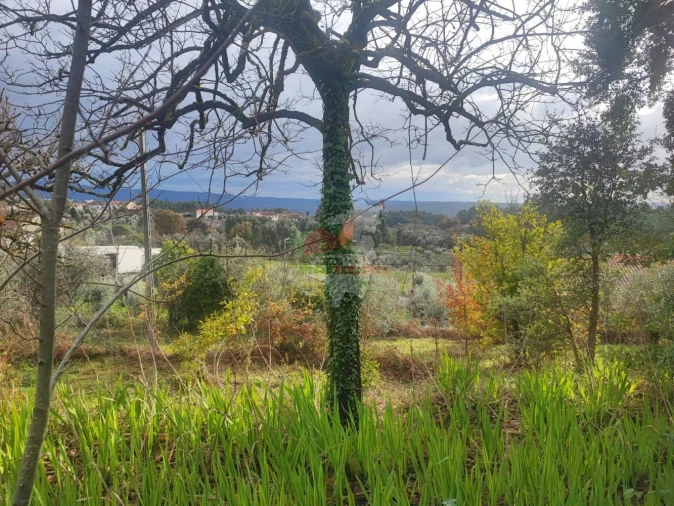 Quinta T3 para Venda em Pedrogão Grande Foto 44