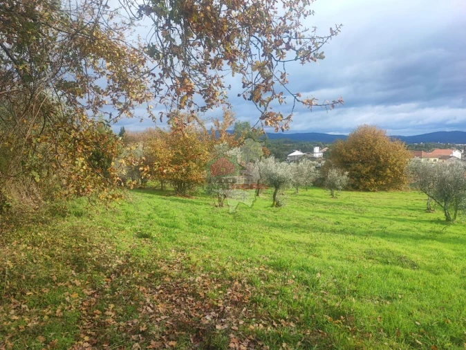 Quinta T3 para Venda em Pedrogão Grande Foto 39