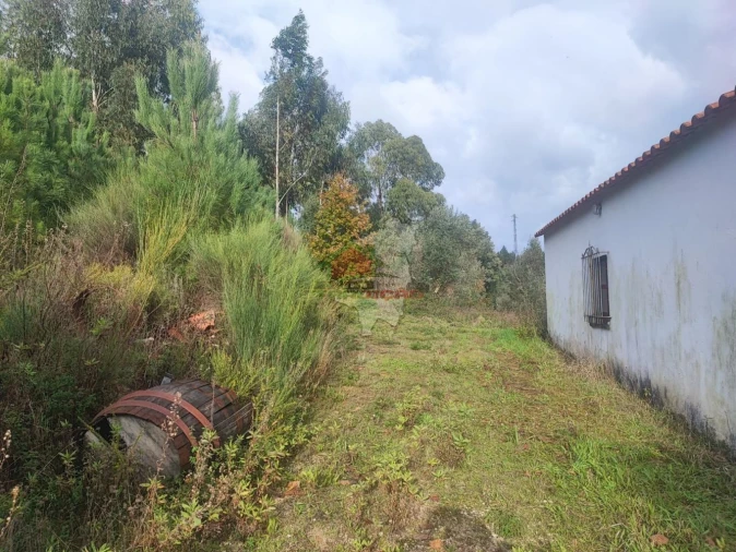 Quinta T3 para Venda em Pedrogão Grande Foto 55