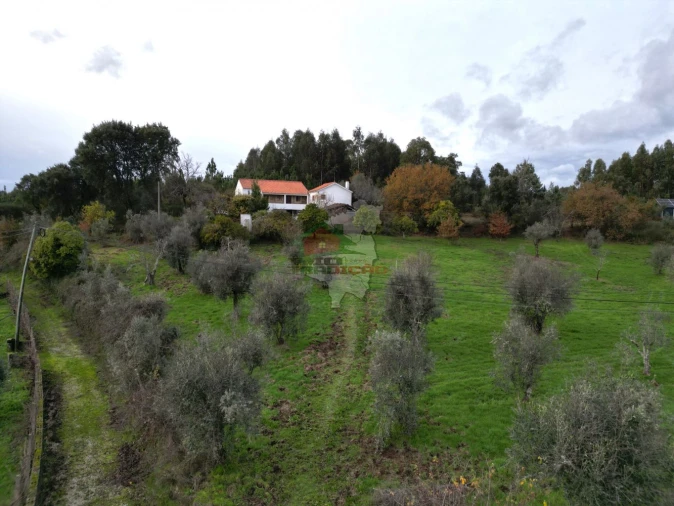 Quinta T3 para Venda em Pedrogão Grande Foto 3