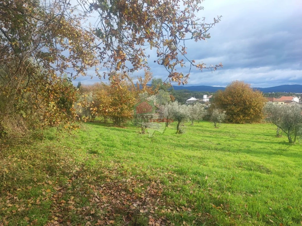 Quinta T3 para Venda em Pedrogão Grande Foto 39