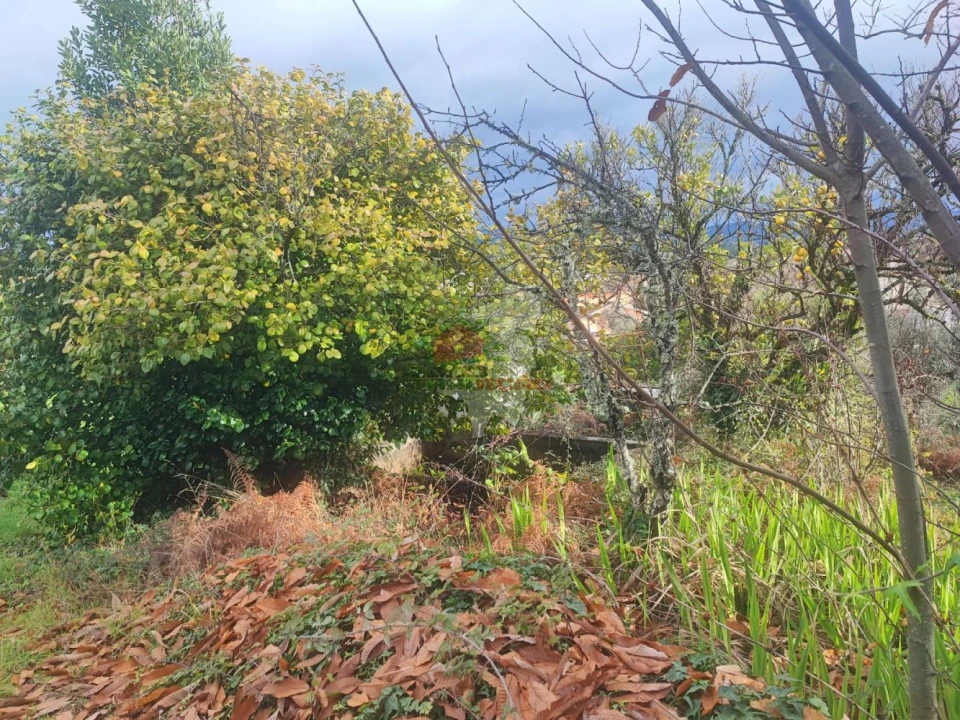 Quinta T3 para Venda em Pedrogão Grande Foto 50