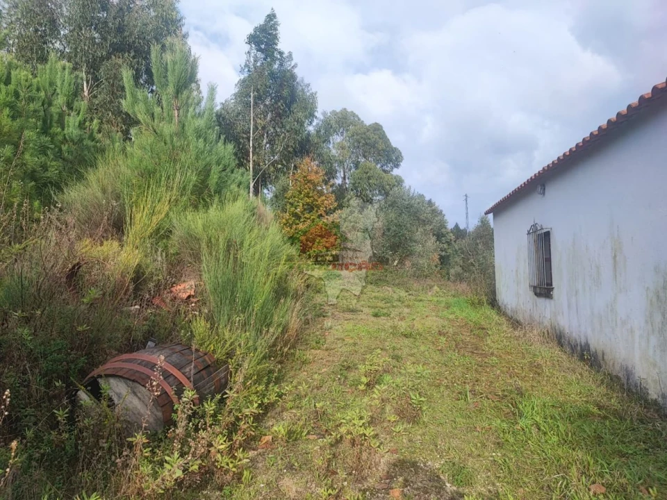 Quinta T3 para Venda em Pedrogão Grande Foto 55