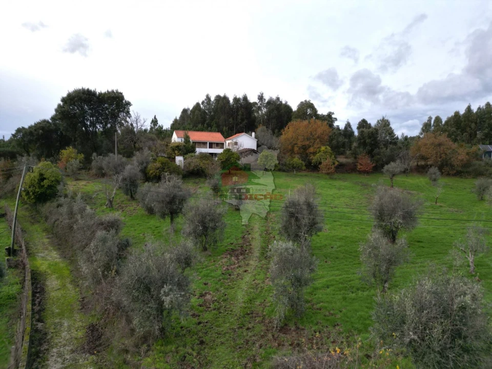 Quinta T3 para Venda em Pedrogão Grande Foto 3
