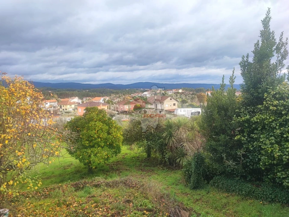 Quinta T3 para Venda em Pedrogão Grande Foto 42