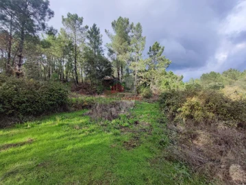 Quinta T0 para Venda em Cumeada e Marmeleiro