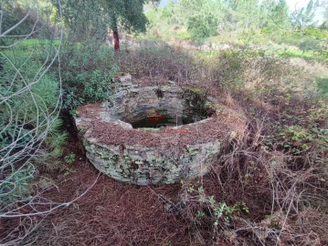 Quinta T0 para Venda em Cumeada e Marmeleiro