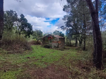 Quinta T0 para Venda em Cumeada e Marmeleiro