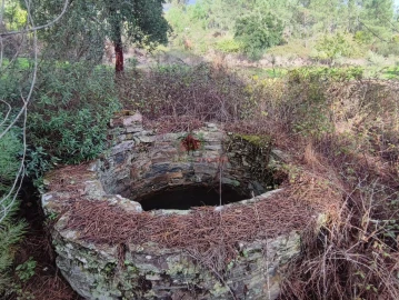 Quinta T0 para Venda em Cumeada e Marmeleiro