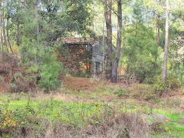 Quinta T0 para Venda em Cumeada e Marmeleiro