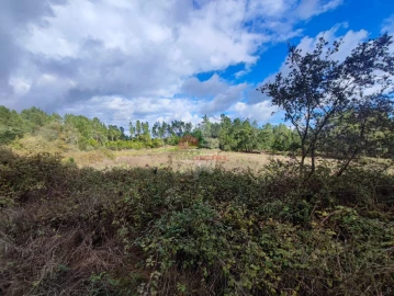 Quinta T0 para Venda em Cumeada e Marmeleiro