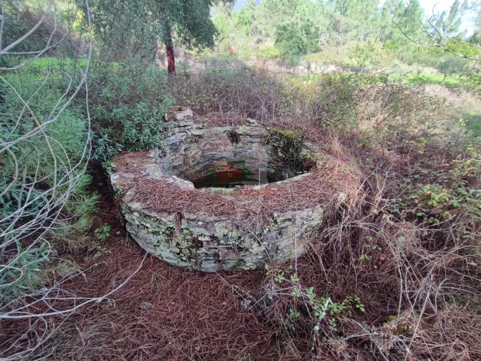 Quinta T0 para Venda em Cumeada e Marmeleiro Foto 11