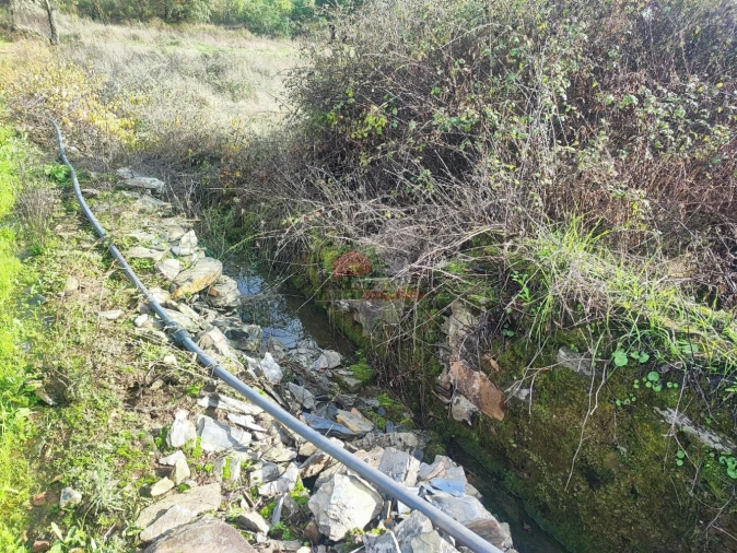 Quinta T0 para Venda em Cumeada e Marmeleiro Foto 4
