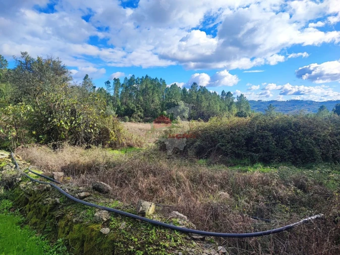 Quinta T0 para Venda em Cumeada e Marmeleiro Foto 2