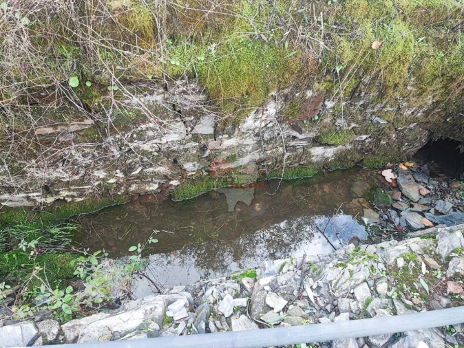 Quinta T0 para Venda em Cumeada e Marmeleiro Foto 3