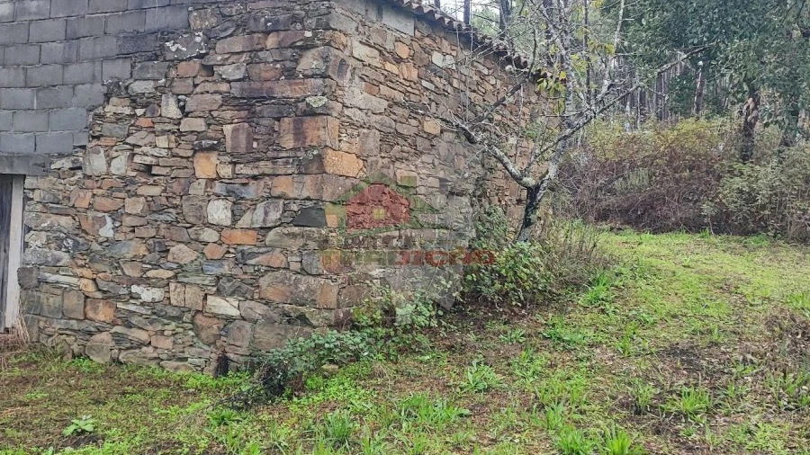 Quinta T0 para Venda em Cumeada e Marmeleiro