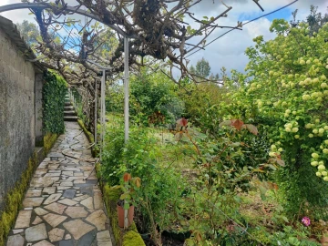 Moradia T4 para Venda em Proença-A-Nova e Peral