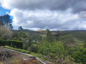 Moradia T4 para Venda em Proença-A-Nova e Peral