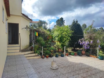 Moradia T4 para Venda em Proença-A-Nova e Peral