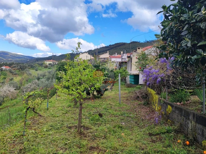 Moradia T4 para Venda em Proença-A-Nova e Peral Foto 38