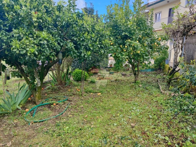 Moradia T4 para Venda em Proença-A-Nova e Peral Foto 39