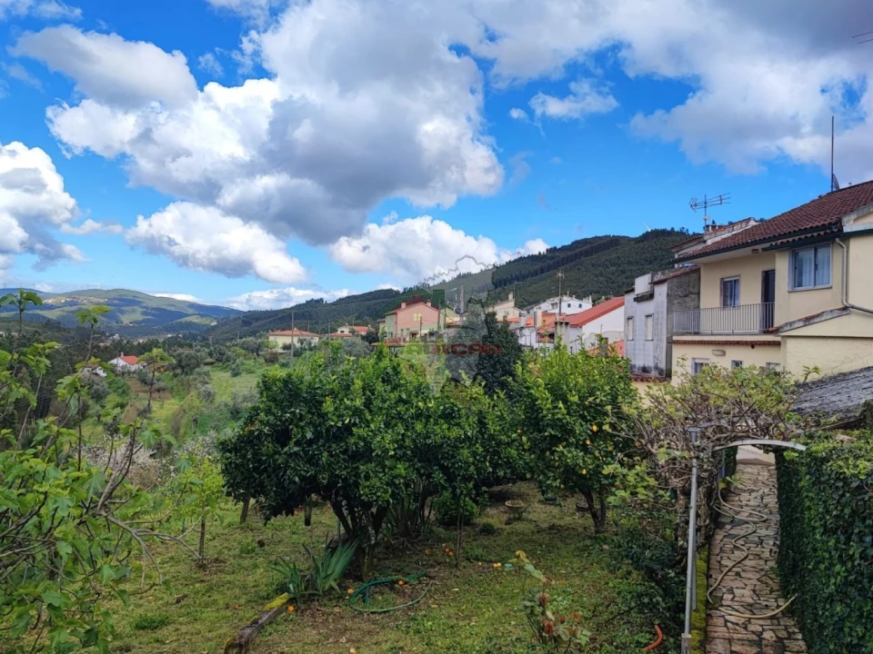 Moradia T4 para Venda em Proença-A-Nova e Peral Foto 40