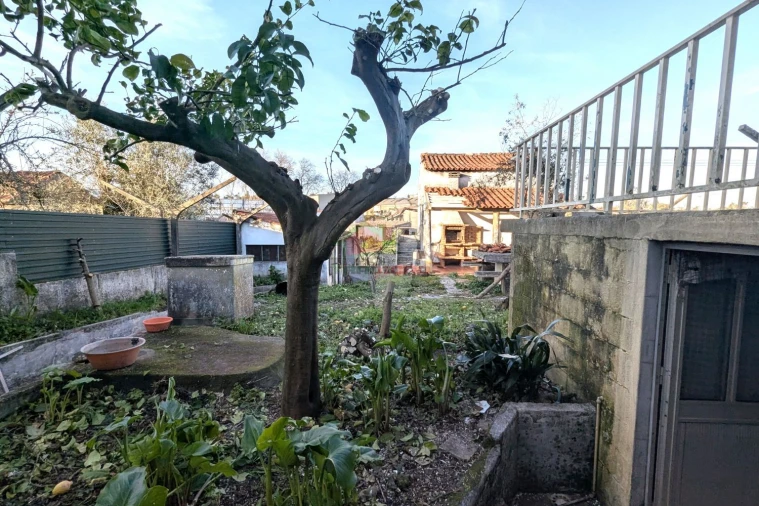 Moradia T3 para Venda em Cernache do Bonjardim, Nesperal e Palhais Foto 17