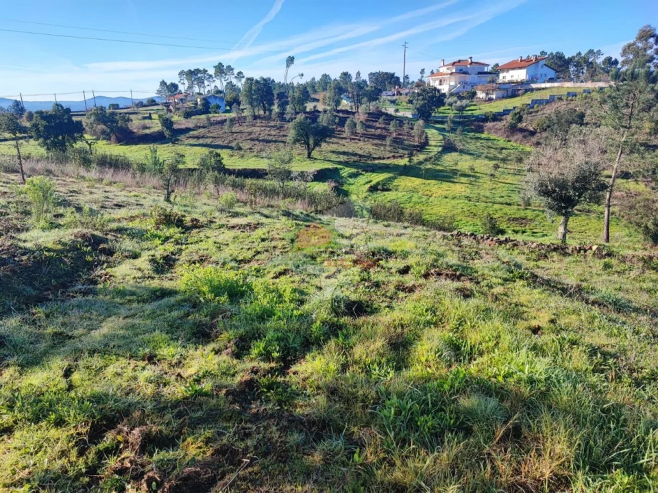 Quinta T3 para Venda em Cumeada e Marmeleiro Foto 42