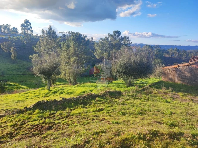 Quinta T3 para Venda em Cumeada e Marmeleiro Foto 44