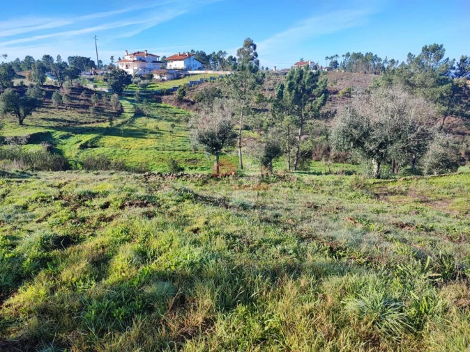 Quinta T3 para Venda em Cumeada e Marmeleiro Foto 43